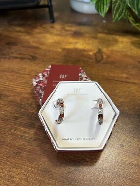 Bomb Party January 2025 Rhodium Hoop Earrings